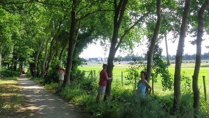 Les arbres nous donnent… 