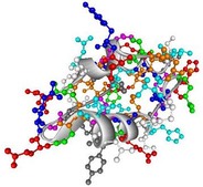 insuline-proteines